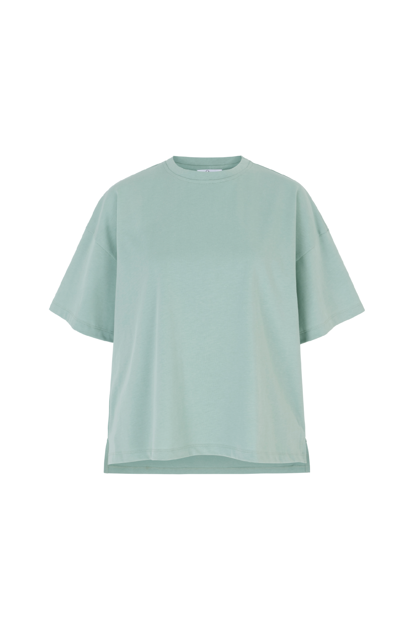 Sara Sage Premium Oversized T-Shirt